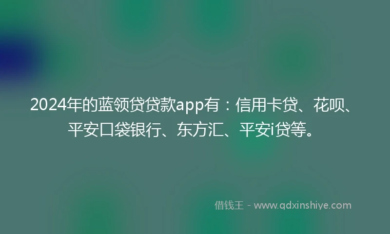 2024年的蓝领贷贷款app有：信用卡贷、花呗、平安口袋银行、东方汇、平安i贷等。