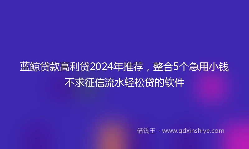 蓝鲸贷款高利贷2024年推荐，整合5个急用小钱不求征信流水轻松贷的软件