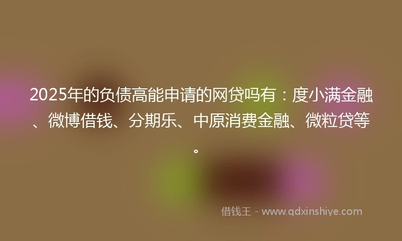 2025年的负债高能申请的网贷吗有：度小满金融、微博借钱、分期乐、中原消费金融、微粒贷等。