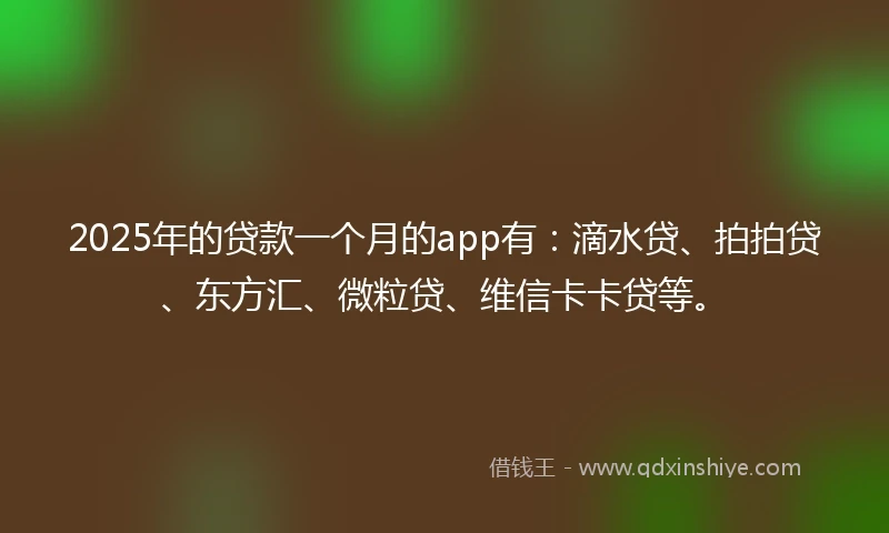 2025年的贷款一个月的app有：滴水贷、拍拍贷、东方汇、微粒贷、维信卡卡贷等。