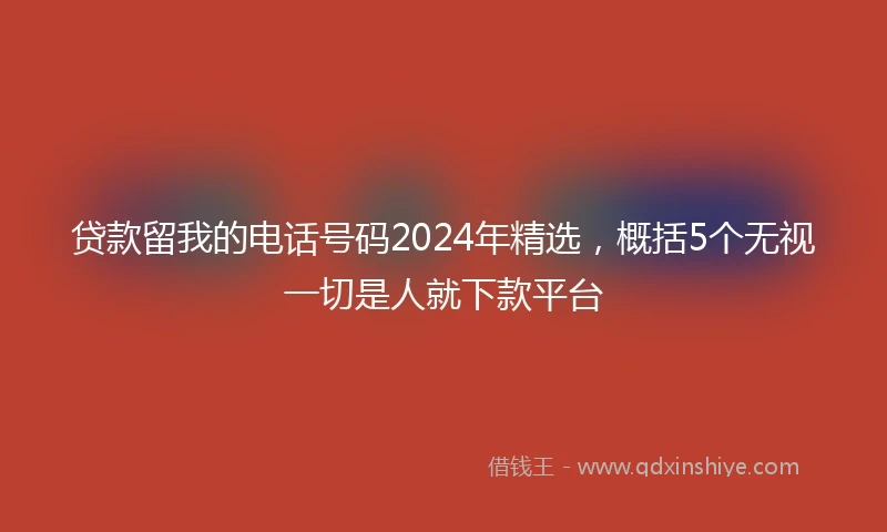 贷款留我的电话号码2024年精选，概括5个无视一切是人就下款平台