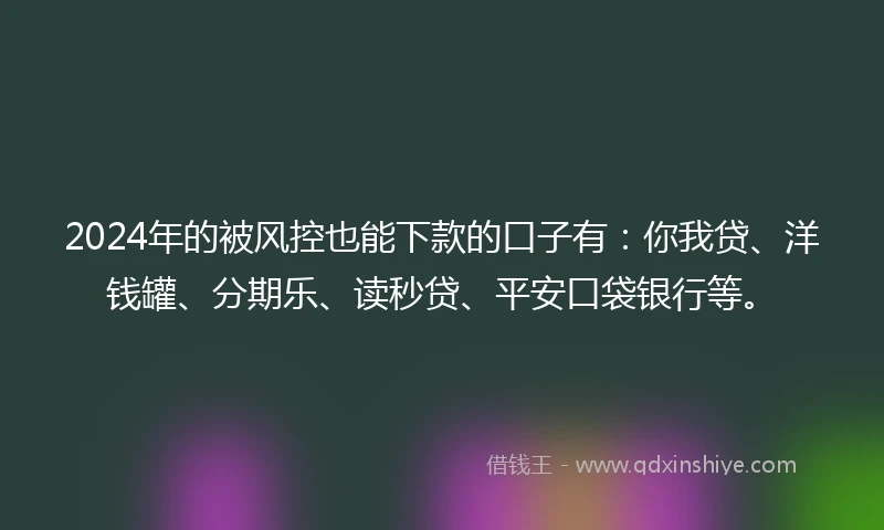 2024年的被风控也能下款的口子有：你我贷、洋钱罐、分期乐、读秒贷、平安口袋银行等。