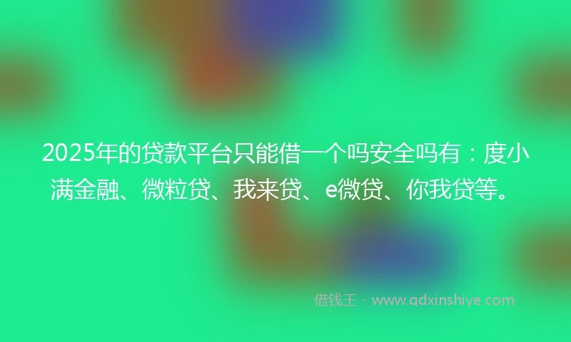2025年的贷款平台只能借一个吗安全吗有：度小满金融、微粒贷、我来贷、e微贷、你我贷等。