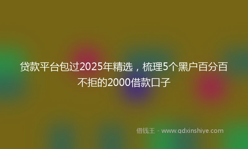 贷款平台包过2025年精选，梳理5个黑户百分百不拒的2000借款口子