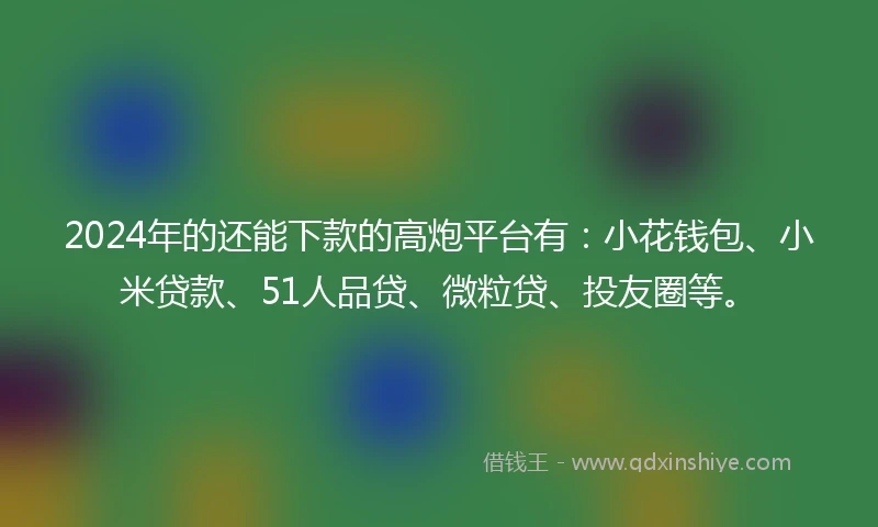 2024年的还能下款的高炮平台有：小花钱包、小米贷款、51人品贷、微粒贷、投友圈等。