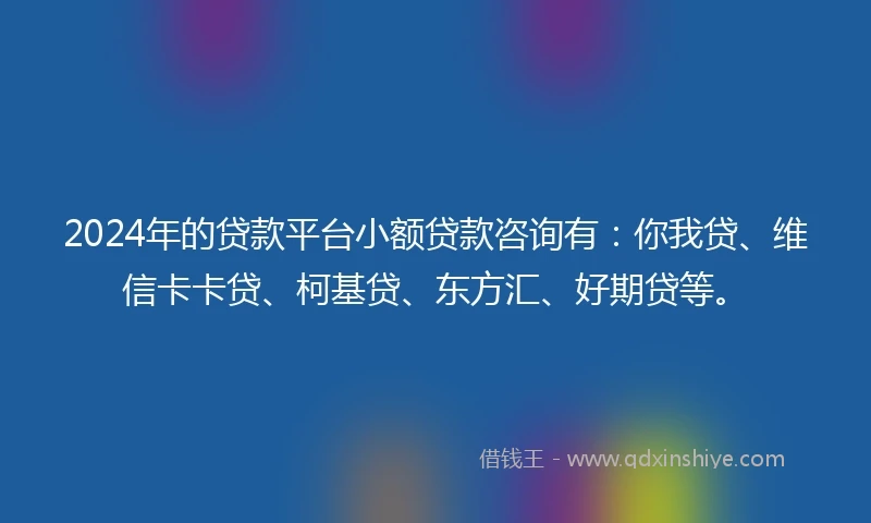 2024年的贷款平台小额贷款咨询有：你我贷、维信卡卡贷、柯基贷、东方汇、好期贷等。