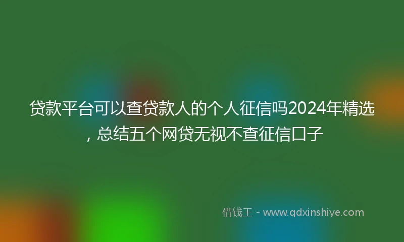 贷款平台可以查贷款人的个人征信吗2024年精选，总结五个网贷无视不查征信口子
