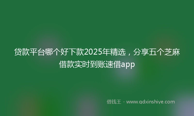 贷款平台哪个好下款2025年精选，分享五个芝麻借款实时到账速借app