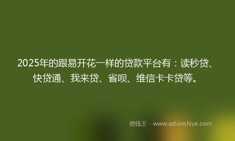 2025年的跟易开花一样的贷款平台有：读秒贷、快贷通、我来贷、省呗、维信卡卡贷等。