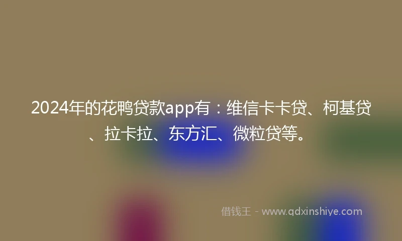 2024年的花鸭贷款app有：维信卡卡贷、柯基贷、拉卡拉、东方汇、微粒贷等。