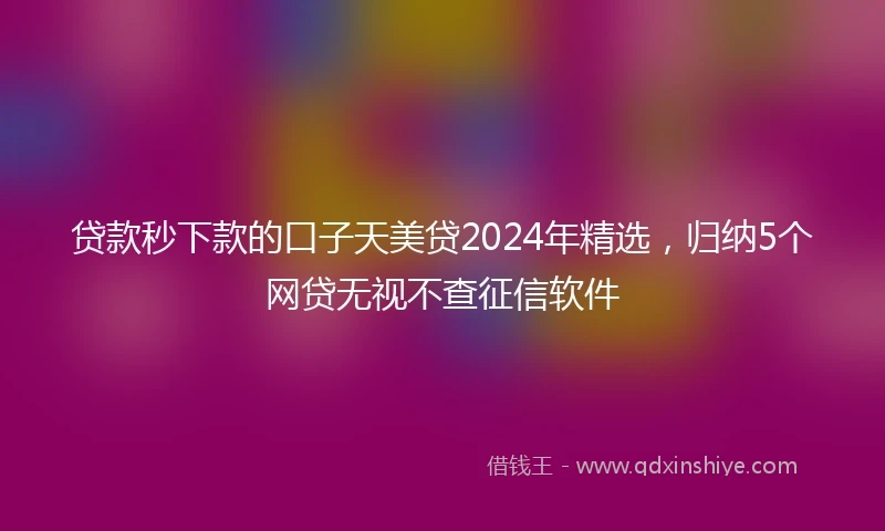 贷款秒下款的口子天美贷2024年精选，归纳5个网贷无视不查征信软件
