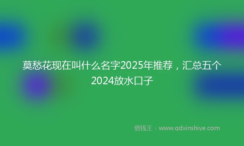 莫愁花现在叫什么名字2025年推荐，汇总五个2024放水口子