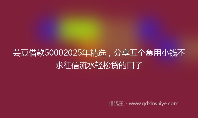 芸豆借款50002025年精选，分享五个急用小钱不求征信流水轻松贷的口子