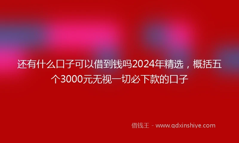 还有什么口子可以借到钱吗2024年精选，概括五个3000元无视一切必下款的口子