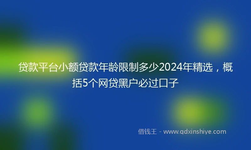 贷款平台小额贷款年龄限制多少2024年精选，概括5个网贷黑户必过口子