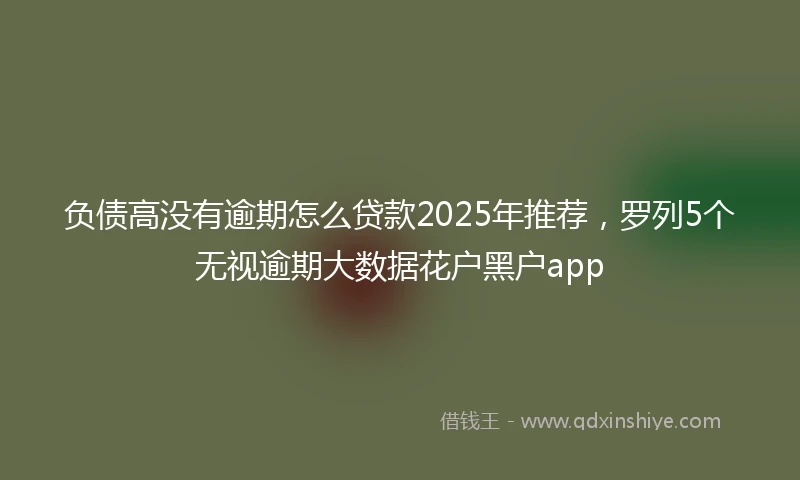 负债高没有逾期怎么贷款2025年推荐，罗列5个无视逾期大数据花户黑户app