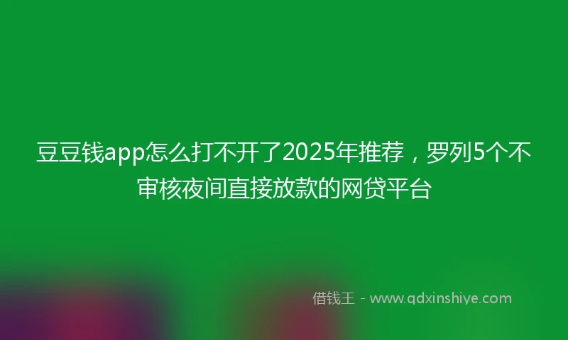 豆豆钱app怎么打不开了2025年推荐，罗列5个不审核夜间直接放款的网贷平台