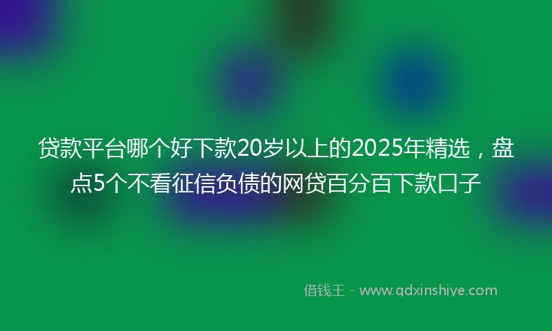 贷款平台哪个好下款20岁以上的2025年精选，盘点5个不看征信负债的网贷百分百下款口子