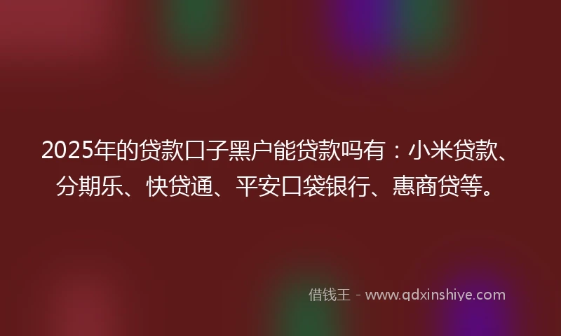 2025年的贷款口子黑户能贷款吗有：小米贷款、分期乐、快贷通、平安口袋银行、惠商贷等。