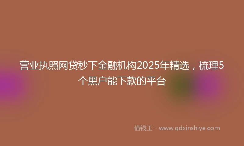 营业执照网贷秒下金融机构2025年精选，梳理5个黑户能下款的平台