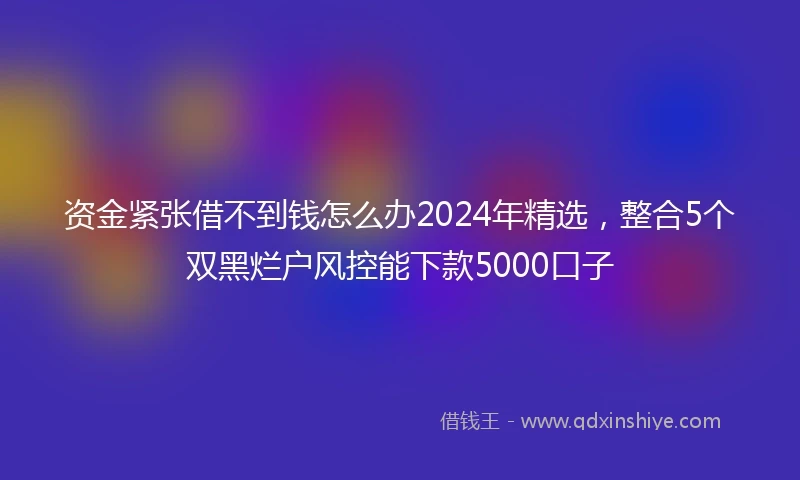 资金紧张借不到钱怎么办2024年精选，整合5个双黑烂户风控能下款5000口子