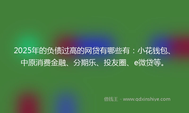 2025年的负债过高的网贷有哪些有：小花钱包、中原消费金融、分期乐、投友圈、e微贷等。