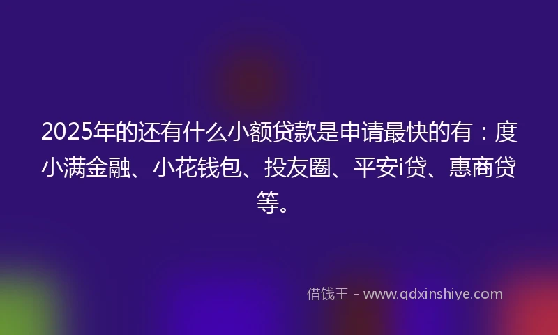 2025年的还有什么小额贷款是申请最快的有：度小满金融、小花钱包、投友圈、平安i贷、惠商贷等。