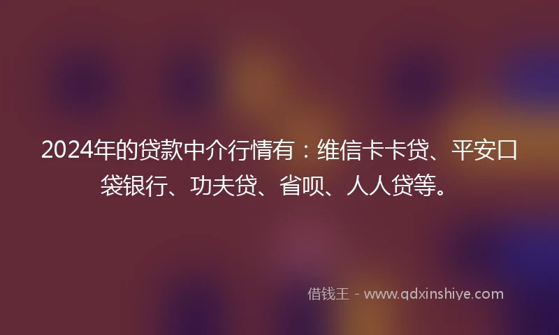 2024年的贷款中介行情有：维信卡卡贷、平安口袋银行、功夫贷、省呗、人人贷等。