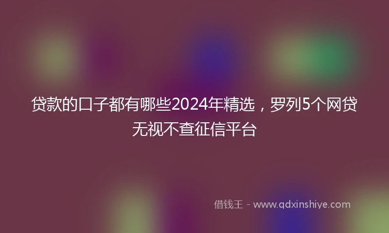 贷款的口子都有哪些2024年精选，罗列5个网贷无视不查征信平台
