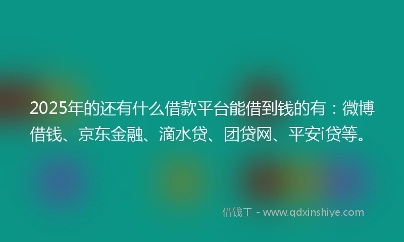2025年的还有什么借款平台能借到钱的有：微博借钱、京东金融、滴水贷、团贷网、平安i贷等。