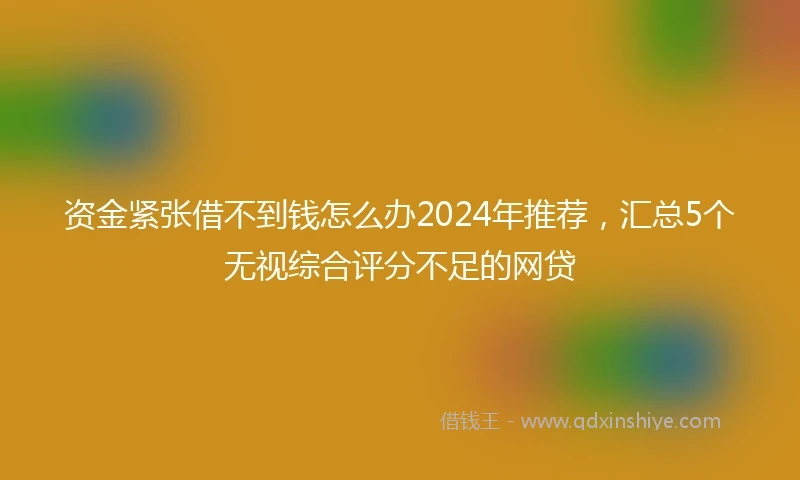 资金紧张借不到钱怎么办2024年推荐，汇总5个无视综合评分不足的网贷