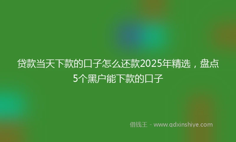 贷款当天下款的口子怎么还款2025年精选，盘点5个黑户能下款的口子