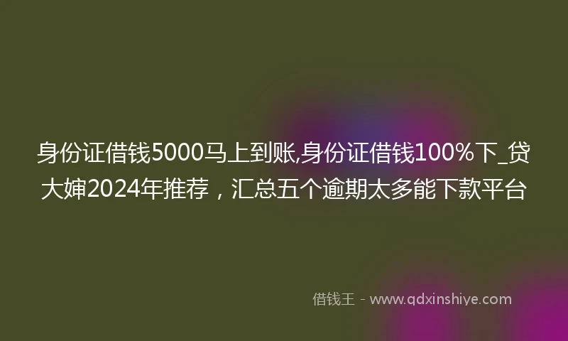 身份证借钱5000马上到账,身份证借钱100%下_贷大婶2024年推荐，汇总五个逾期太多能下款平台