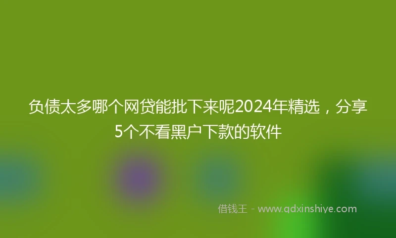 负债太多哪个网贷能批下来呢2024年精选，分享5个不看黑户下款的软件