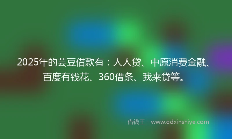 2025年的芸豆借款有：人人贷、中原消费金融、百度有钱花、360借条、我来贷等。