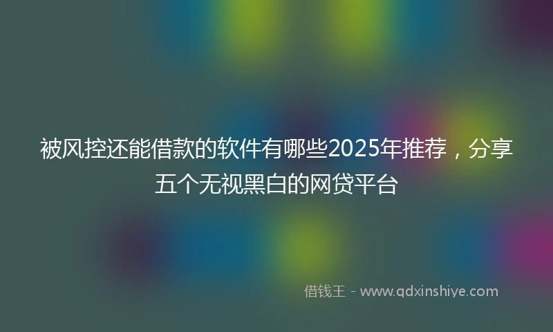 被风控还能借款的软件有哪些2025年推荐，分享五个无视黑白的网贷平台