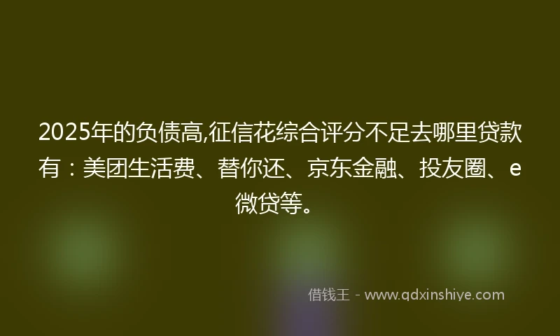 2025年的负债高,征信花综合评分不足去哪里贷款有：美团生活费、替你还、京东金融、投友圈、e微贷等。