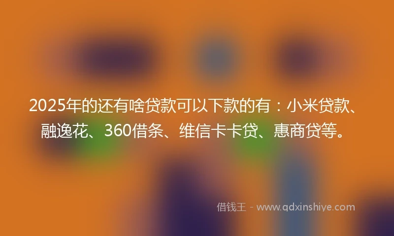 2025年的还有啥贷款可以下款的有：小米贷款、融逸花、360借条、维信卡卡贷、惠商贷等。