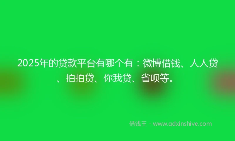 2025年的贷款平台有哪个有：微博借钱、人人贷、拍拍贷、你我贷、省呗等。