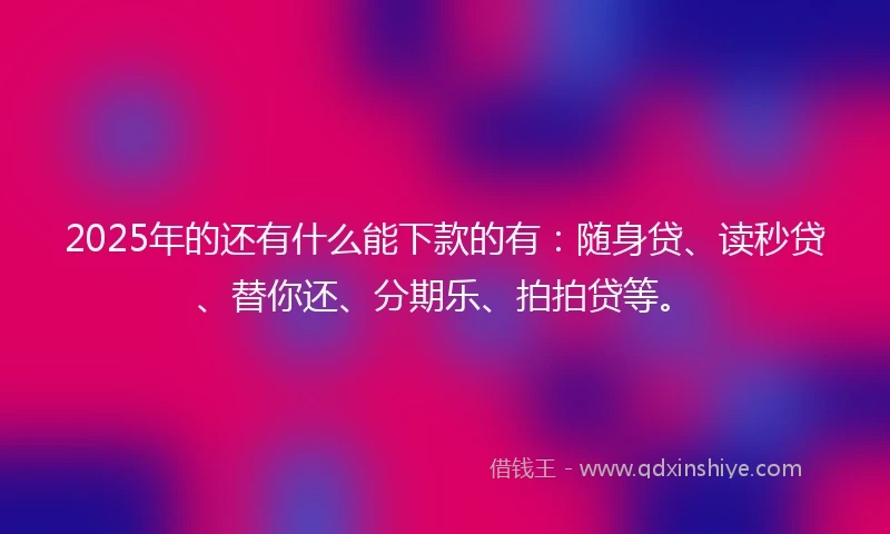 2025年的还有什么能下款的有：随身贷、读秒贷、替你还、分期乐、拍拍贷等。