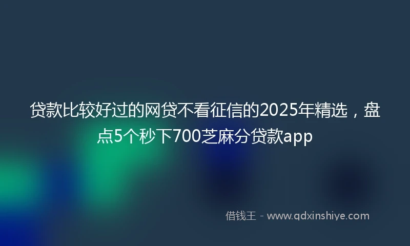 贷款比较好过的网贷不看征信的2025年精选，盘点5个秒下700芝麻分贷款app