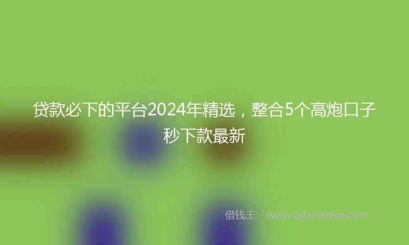 贷款必下的平台2024年精选，整合5个高炮口子秒下款最新