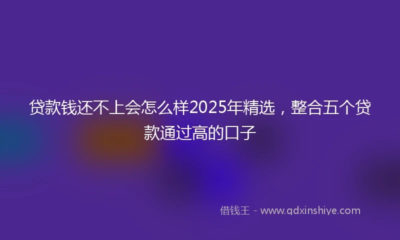 贷款钱还不上会怎么样2025年精选，整合五个贷款通过高的口子