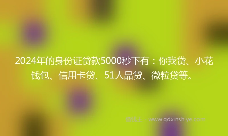 2024年的身份证贷款5000秒下有：你我贷、小花钱包、信用卡贷、51人品贷、微粒贷等。