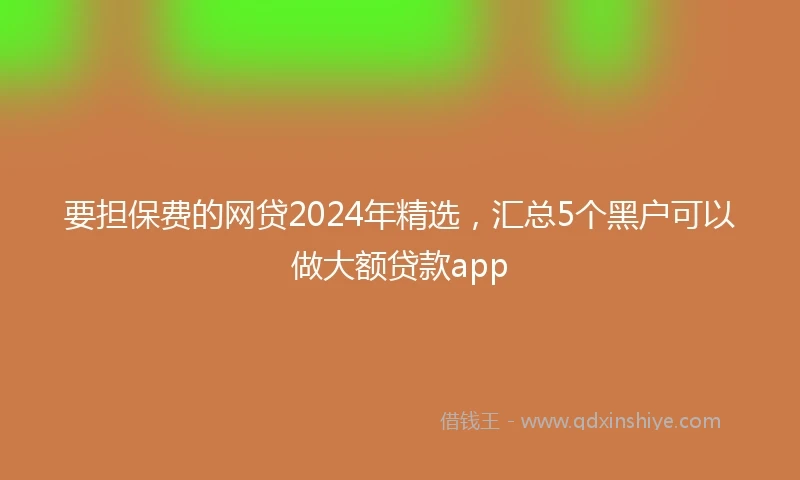 要担保费的网贷2024年精选，汇总5个黑户可以做大额贷款app