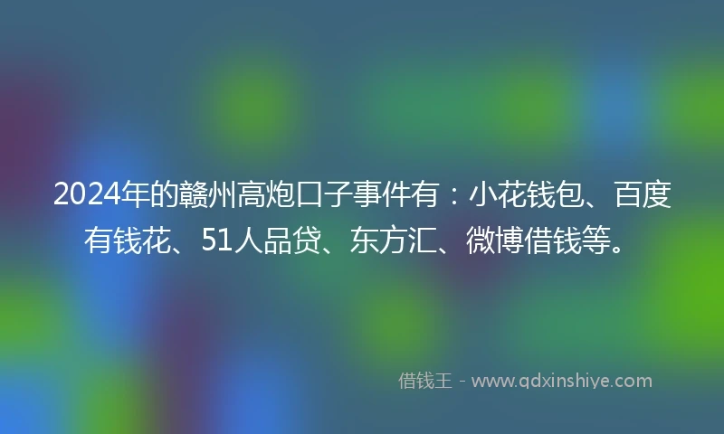 2024年的赣州高炮口子事件有：小花钱包、百度有钱花、51人品贷、东方汇、微博借钱等。