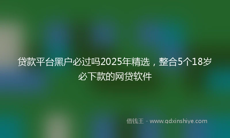 贷款平台黑户必过吗2025年精选，整合5个18岁必下款的网贷软件