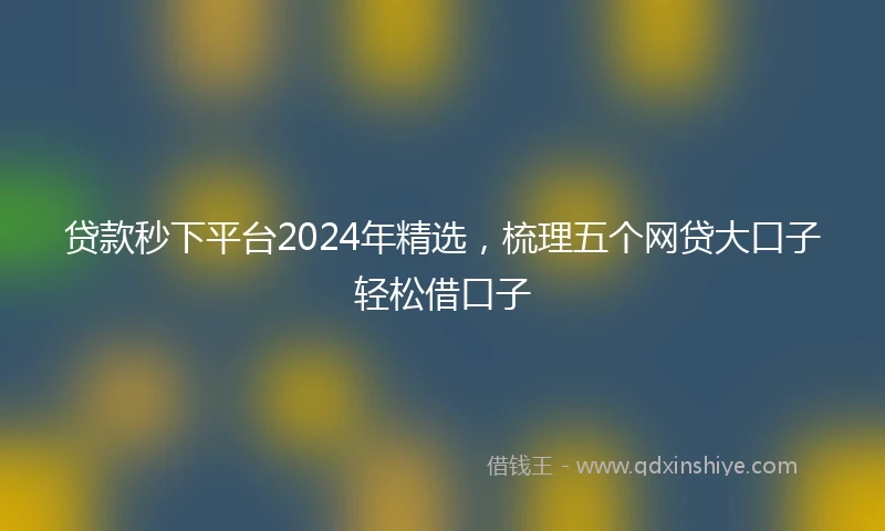贷款秒下平台2024年精选，梳理五个网贷大口子轻松借口子