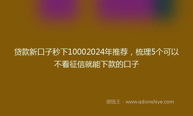 贷款新口子秒下10002024年推荐，梳理5个可以不看征信就能下款的口子
