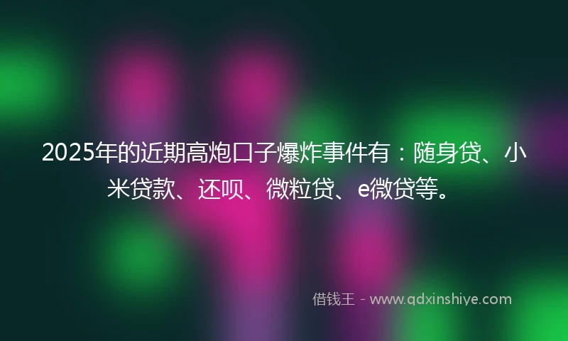 2025年的近期高炮口子爆炸事件有：随身贷、小米贷款、还呗、微粒贷、e微贷等。
